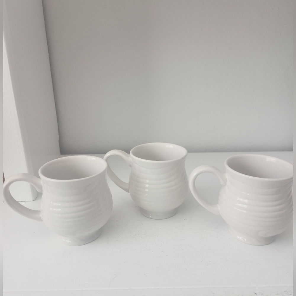 Temptations White Woodland Embossed Mug Set Of Three 16oz - Picture 3 of 7